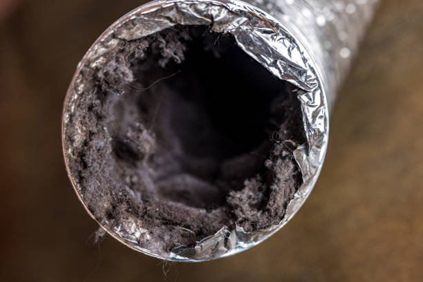 Best Ventilation Cleaning Services  in Glen Dale, WV