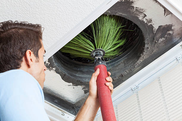 Air Duct Mold Removal in WV
